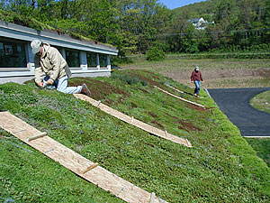 Green roof at a chiropractic center in Pennsylvania